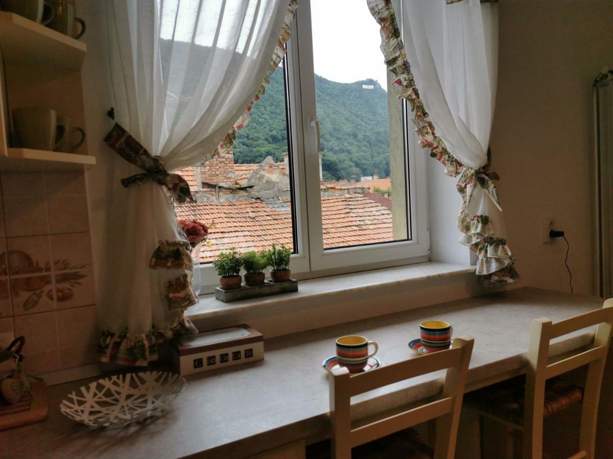 براشوف Transylvania Green Confort المظهر الخارجي الصورة